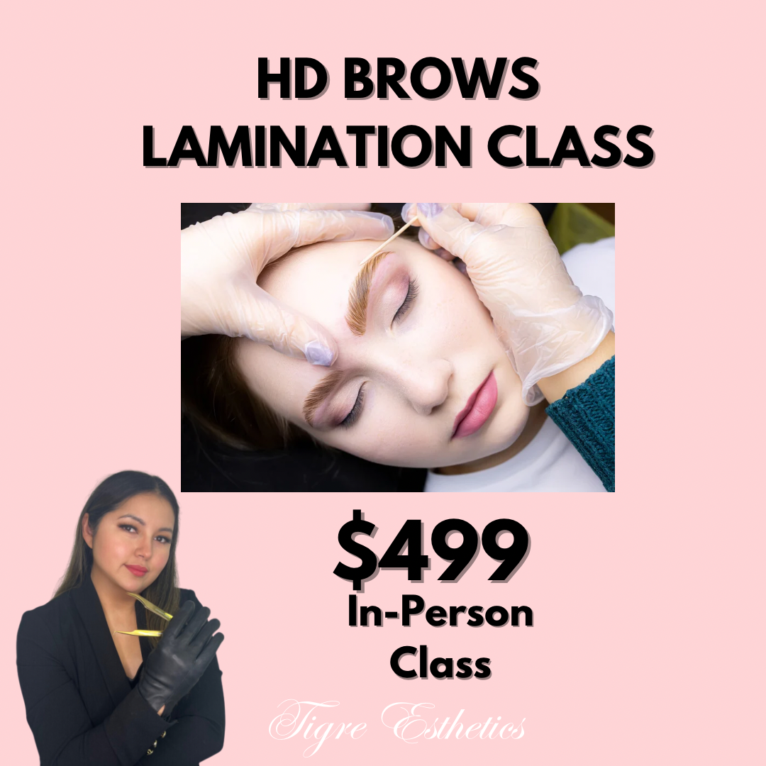 Brow Lamination Beginners Class